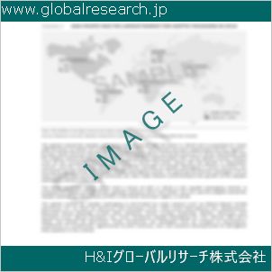 グローバルリサーチ調査資料のイメージ